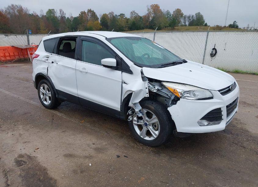 2013 Ford Escape SE (VIN 1FMCU9G91DUB09524) main photo