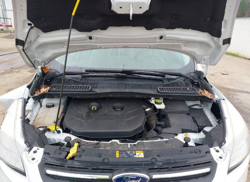 Photo 10 of 2013 Ford Escape SE (VIN 1FMCU9G91DUB09524)