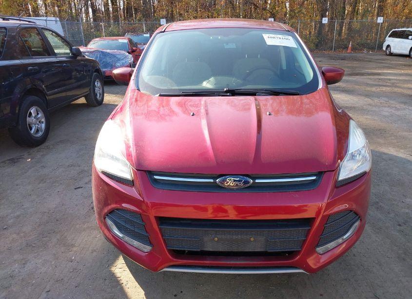 Photo 12 of 2013 Ford Escape SE (VIN 1FMCU9G91DUB40580)