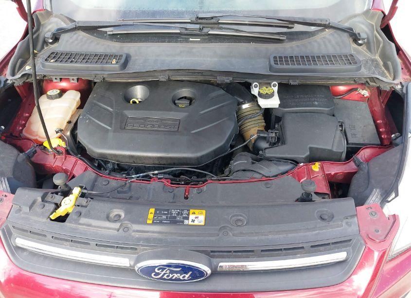 Photo 10 of 2013 Ford Escape SE (VIN 1FMCU9G91DUC30862)