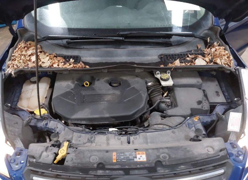 Photo 10 of 2013 Ford Escape SE (VIN 1FMCU9G91DUD11795)