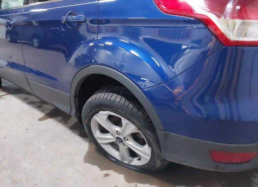 Photo 17 of 2013 Ford Escape SE (VIN 1FMCU9G91DUD11795)