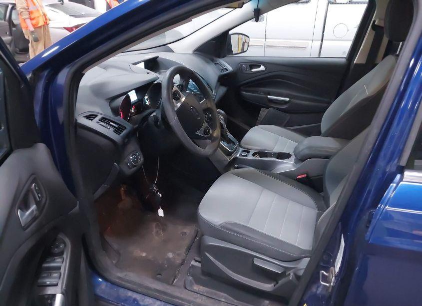 Photo 5 of 2013 Ford Escape SE (VIN 1FMCU9G91DUD11795)