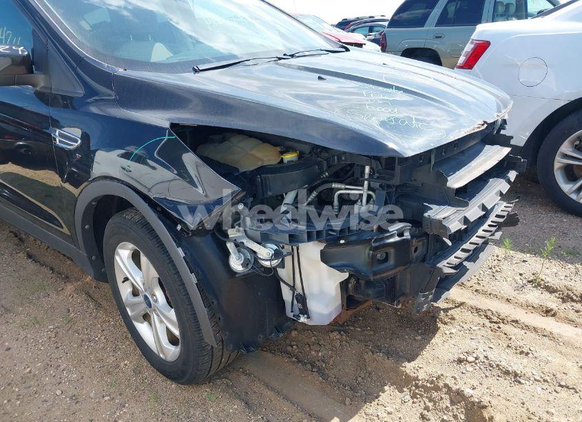 Photo 18 of 2014 Ford Escape SE (VIN 1FMCU9G91EUA07321)