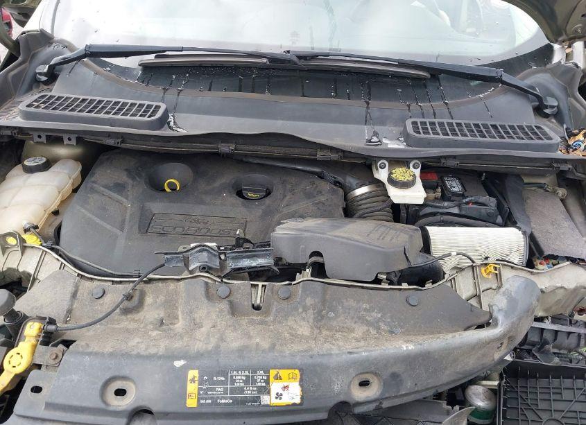 Photo 10 of 2014 Ford Escape SE (VIN 1FMCU9G91EUA15869)