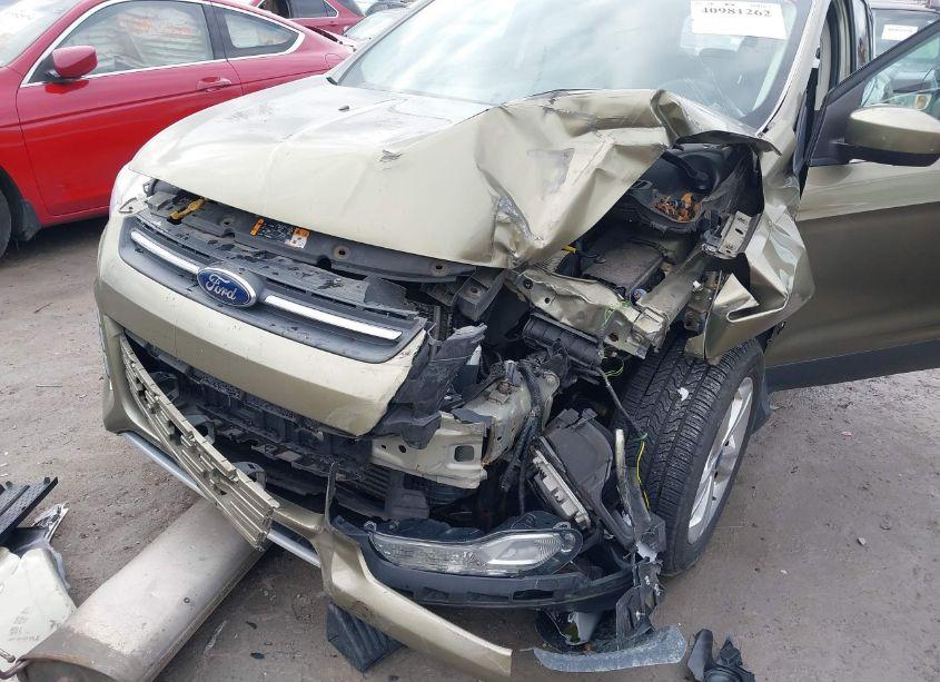 Photo 6 of 2014 Ford Escape SE (VIN 1FMCU9G91EUA15869)