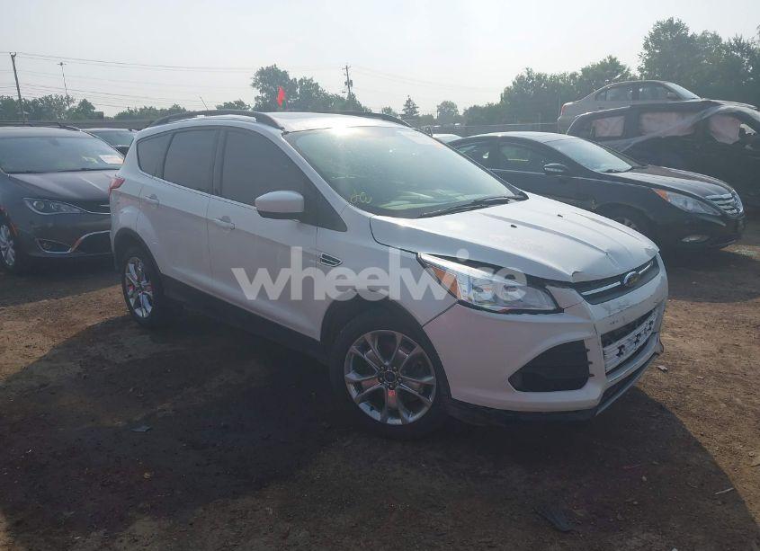 2014 Ford Escape SE (VIN 1FMCU9G91EUB43044) main photo