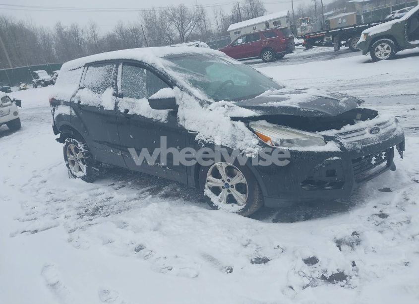 2014 Ford Escape SE (VIN 1FMCU9G91EUB65402) main photo