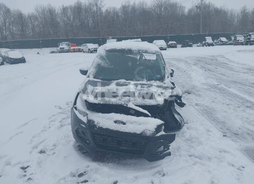 Photo 12 of 2014 Ford Escape SE (VIN 1FMCU9G91EUB65402)