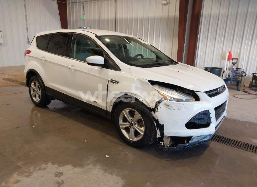2014 Ford Escape SE (VIN 1FMCU9G91EUC84972) main photo