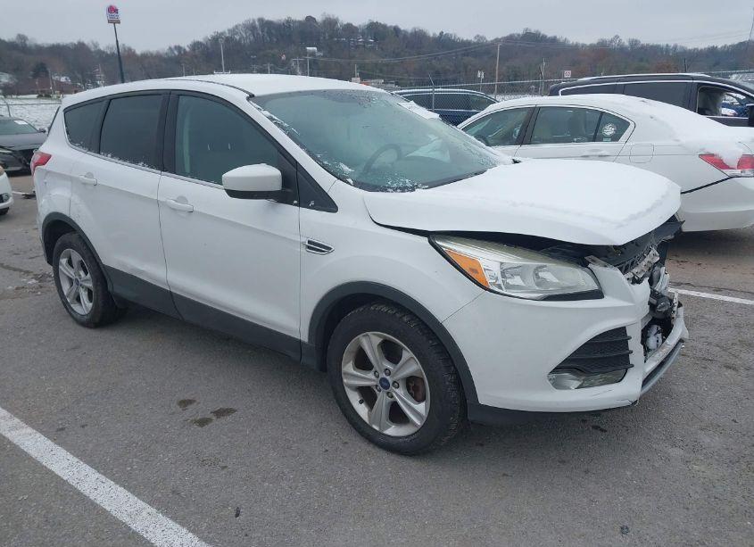 2014 Ford Escape SE (VIN 1FMCU9G91EUD59489) main photo