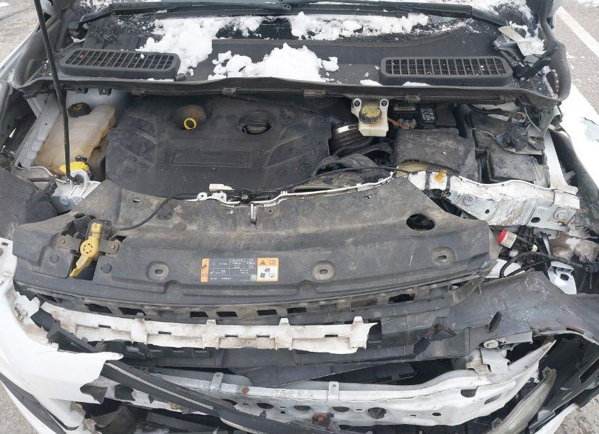 Photo 10 of 2014 Ford Escape SE (VIN 1FMCU9G91EUD59489)