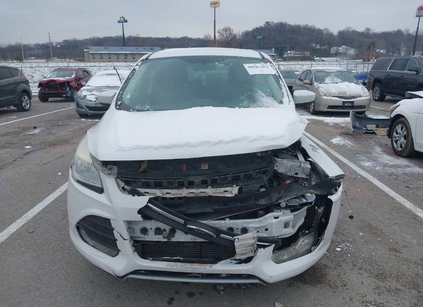 Photo 12 of 2014 Ford Escape SE (VIN 1FMCU9G91EUD59489)