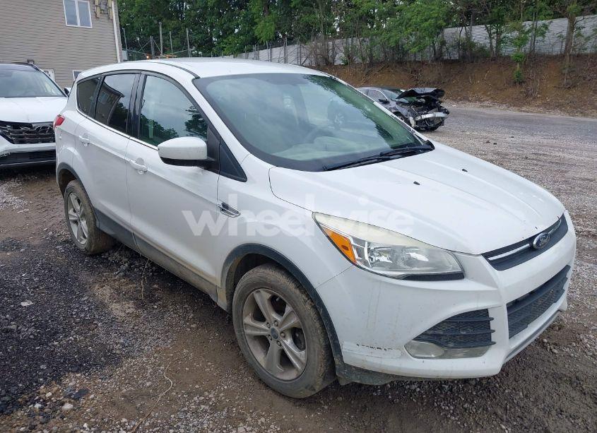 2014 Ford Escape SE (VIN 1FMCU9G91EUD95568) main photo