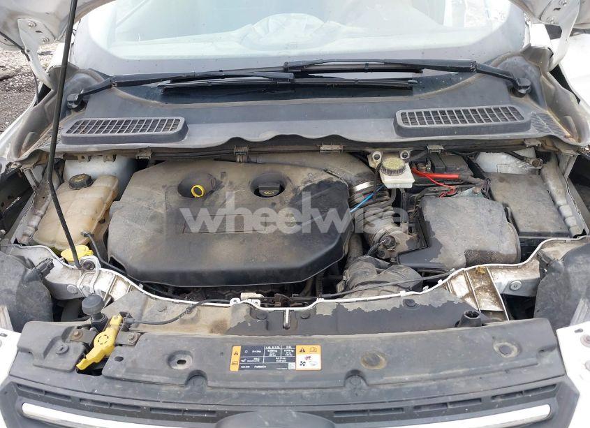 Photo 10 of 2014 Ford Escape SE (VIN 1FMCU9G91EUD95568)