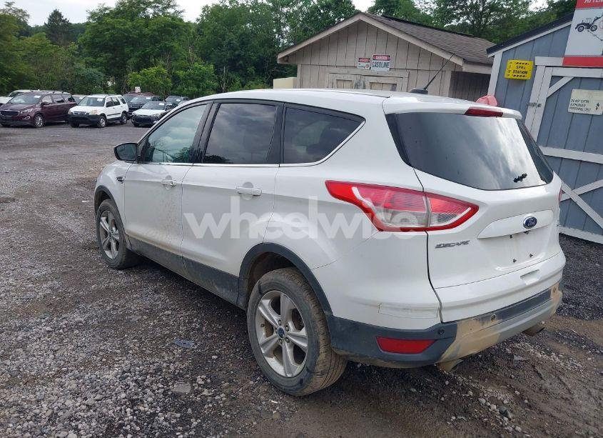 Photo 3 of 2014 Ford Escape SE (VIN 1FMCU9G91EUD95568)