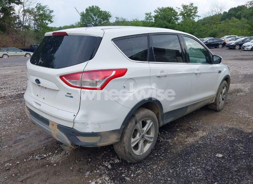 Photo 4 of 2014 Ford Escape SE (VIN 1FMCU9G91EUD95568)