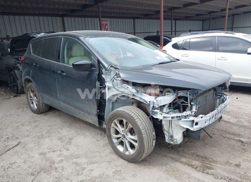 2019 Ford Escape SE (VIN 1FMCU9G91KUC08423) main photo