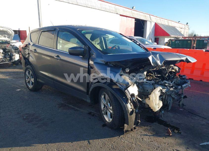 2013 Ford Escape SE (VIN 1FMCU9G92DUB40488) main photo