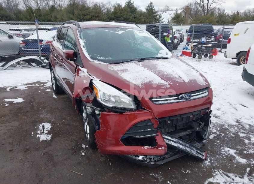 2014 Ford Escape SE (VIN 1FMCU9G92EUA82531) main photo