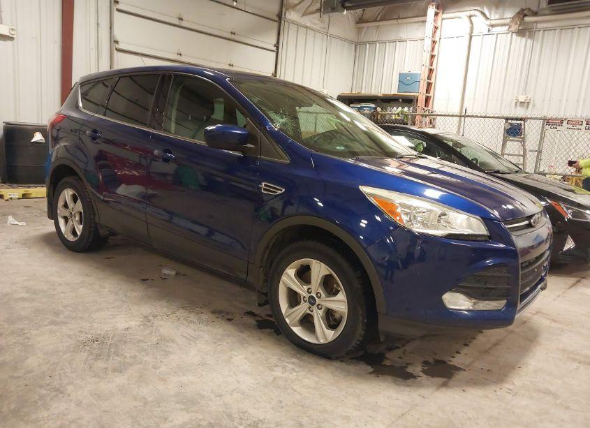 2014 Ford Escape SE (VIN 1FMCU9G92EUB94438) main photo