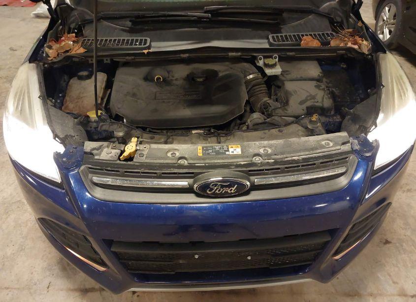 Photo 10 of 2014 Ford Escape SE (VIN 1FMCU9G92EUB94438)