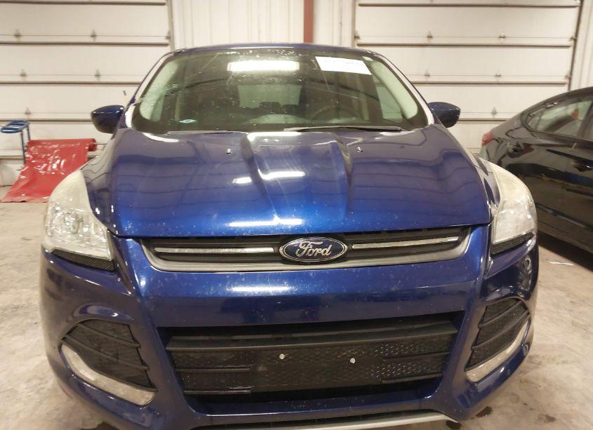 Photo 13 of 2014 Ford Escape SE (VIN 1FMCU9G92EUB94438)