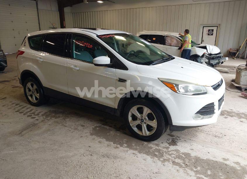 2014 Ford Escape SE (VIN 1FMCU9G92EUC28765) main photo