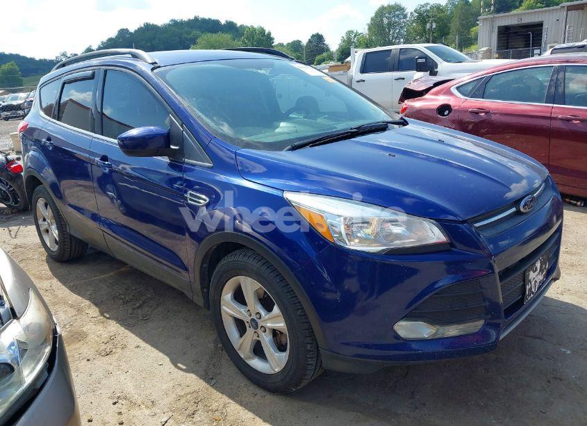 2014 Ford Escape SE (VIN 1FMCU9G92EUC77528) main photo