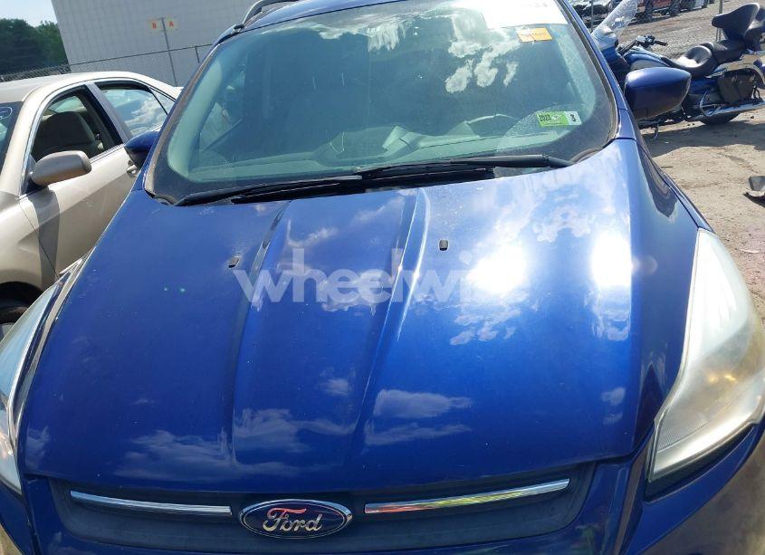 Photo 6 of 2014 Ford Escape SE (VIN 1FMCU9G92EUC77528)