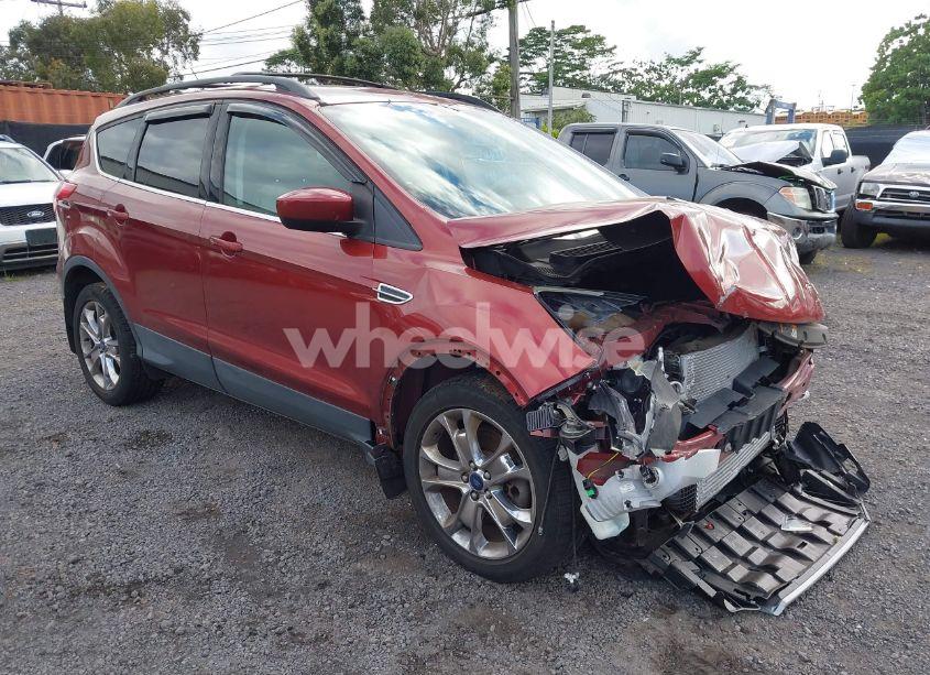 2014 Ford Escape SE (VIN 1FMCU9G92EUD94980) main photo