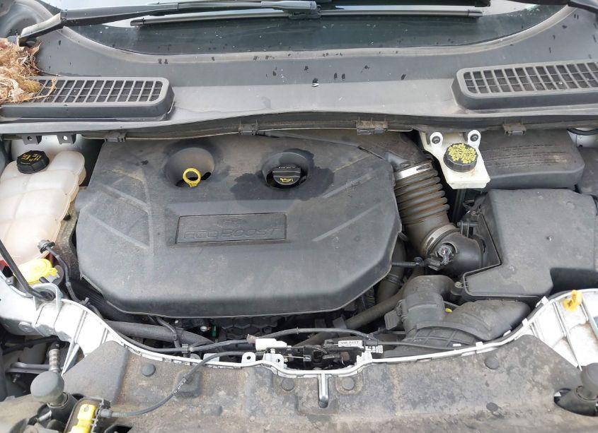 Photo 10 of 2015 Ford Escape SE (VIN 1FMCU9G92FUA80179)