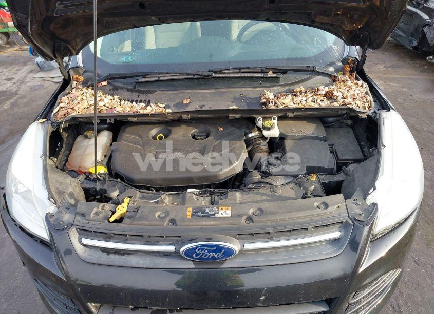 Photo 10 of 2015 Ford Escape SE (VIN 1FMCU9G92FUC10932)