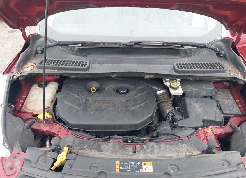 Photo 10 of 2015 Ford Escape SE (VIN 1FMCU9G92FUC11000)