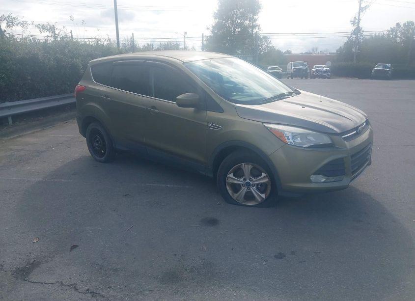 2013 Ford Escape SE (VIN 1FMCU9G93DUA41629) main photo
