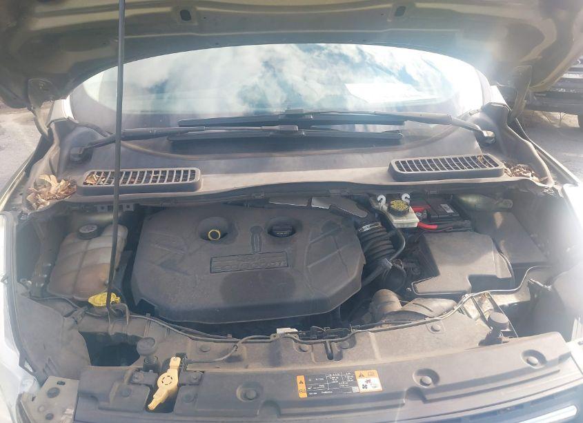 Photo 10 of 2013 Ford Escape SE (VIN 1FMCU9G93DUA41629)