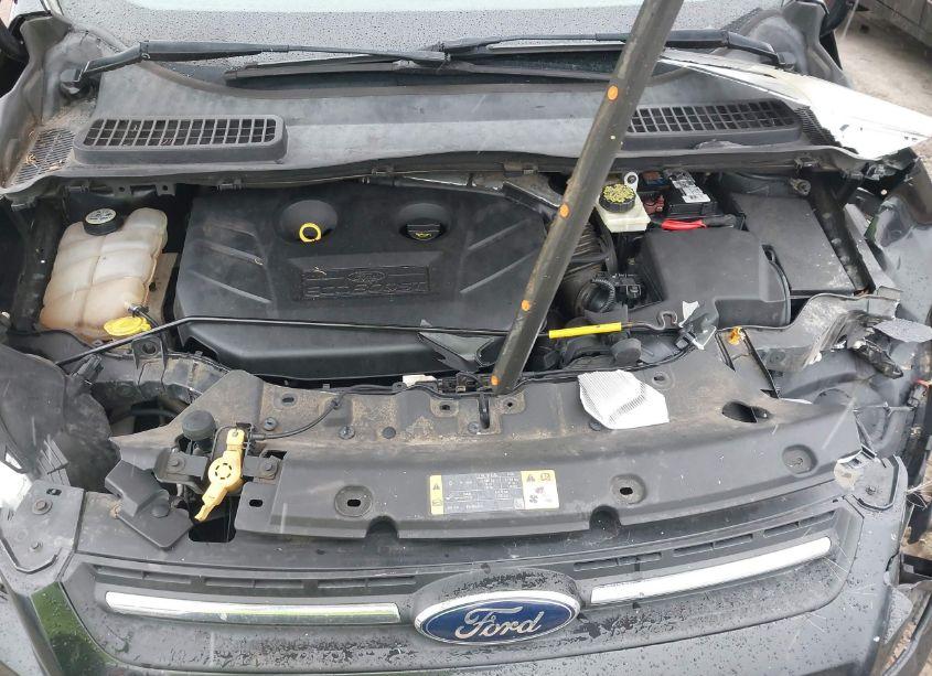 Photo 10 of 2013 Ford Escape SE (VIN 1FMCU9G93DUB02008)