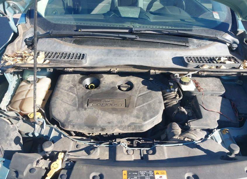 Photo 10 of 2013 Ford Escape SE (VIN 1FMCU9G93DUB55288)