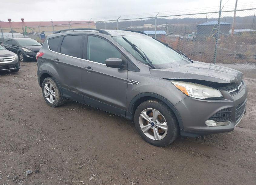 2014 Ford Escape SE (VIN 1FMCU9G93EUC18729) main photo