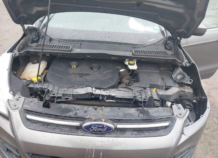 Photo 10 of 2014 Ford Escape SE (VIN 1FMCU9G93EUC18729)