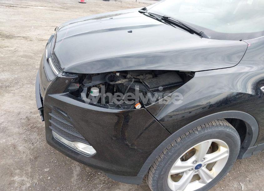 Photo 19 of 2016 Ford Escape SE (VIN 1FMCU9G93GUB44814)