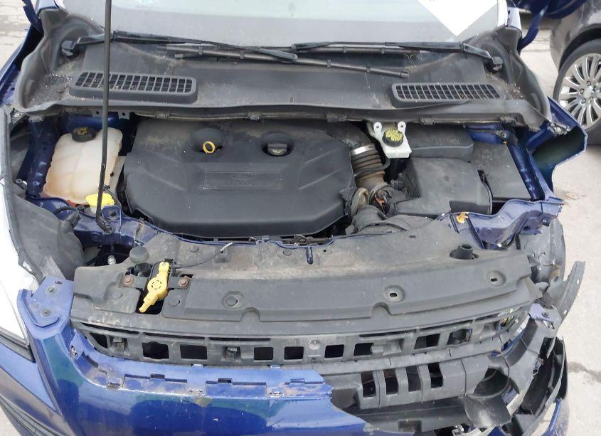 Photo 10 of 2016 Ford Escape SE (VIN 1FMCU9G93GUC49028)