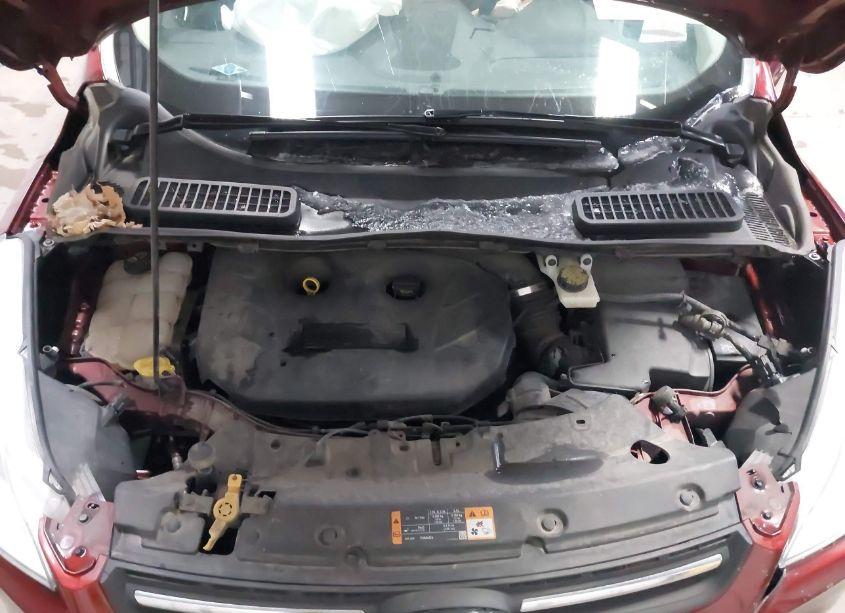 Photo 10 of 2014 Ford Escape SE (VIN 1FMCU9G94EUA22315)