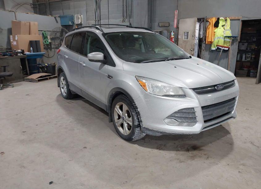 2014 Ford Escape SE (VIN 1FMCU9G94EUB36556) main photo