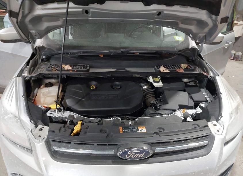 Photo 10 of 2014 Ford Escape SE (VIN 1FMCU9G94EUB36556)