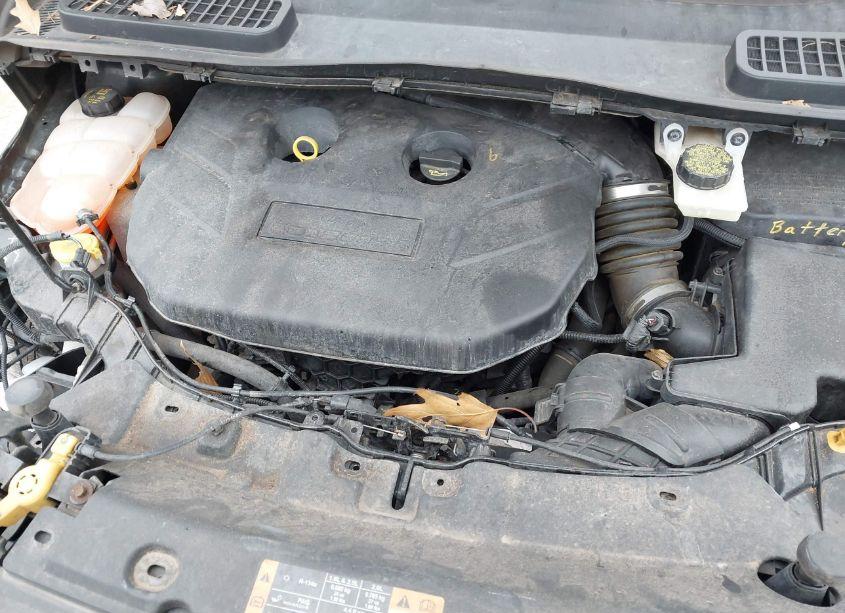 Photo 10 of 2014 Ford Escape SE (VIN 1FMCU9G94EUD27460)