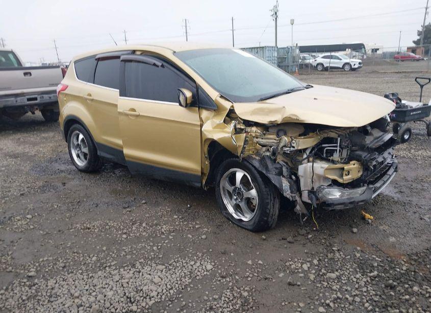 2014 Ford Escape SE (VIN 1FMCU9G94EUD37762) main photo