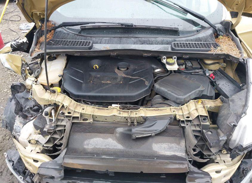 Photo 10 of 2014 Ford Escape SE (VIN 1FMCU9G94EUD37762)