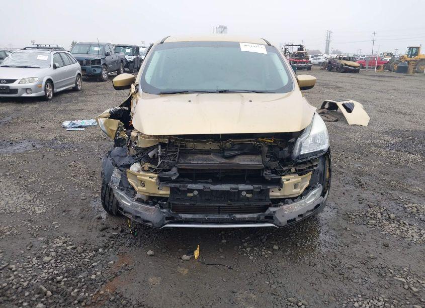 Photo 13 of 2014 Ford Escape SE (VIN 1FMCU9G94EUD37762)