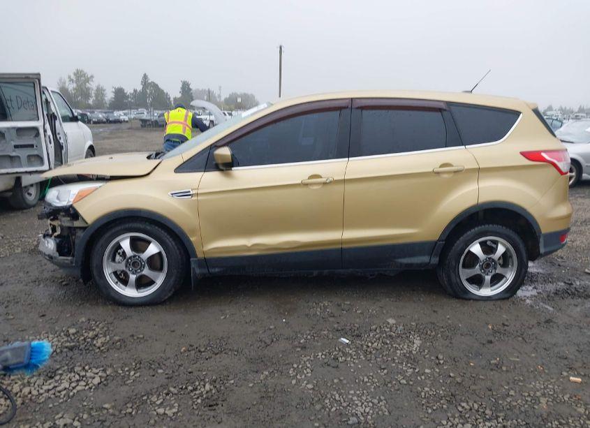 Photo 15 of 2014 Ford Escape SE (VIN 1FMCU9G94EUD37762)